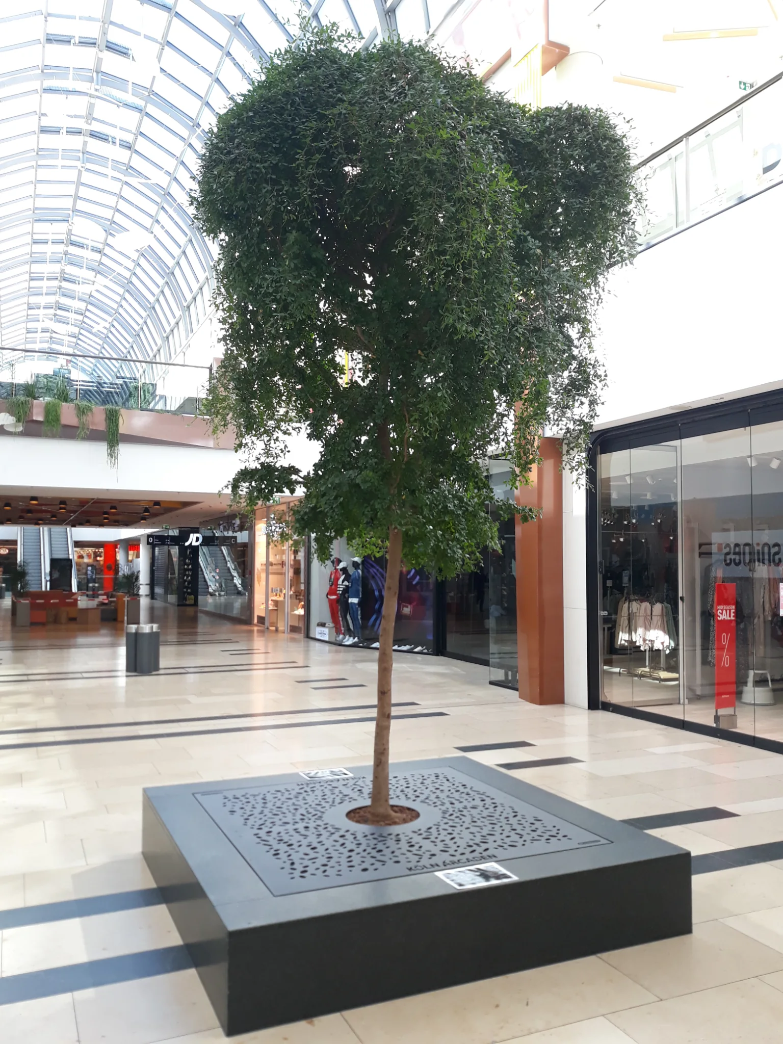 Großer Innenbaum in einem modernen Einkaufszentrum