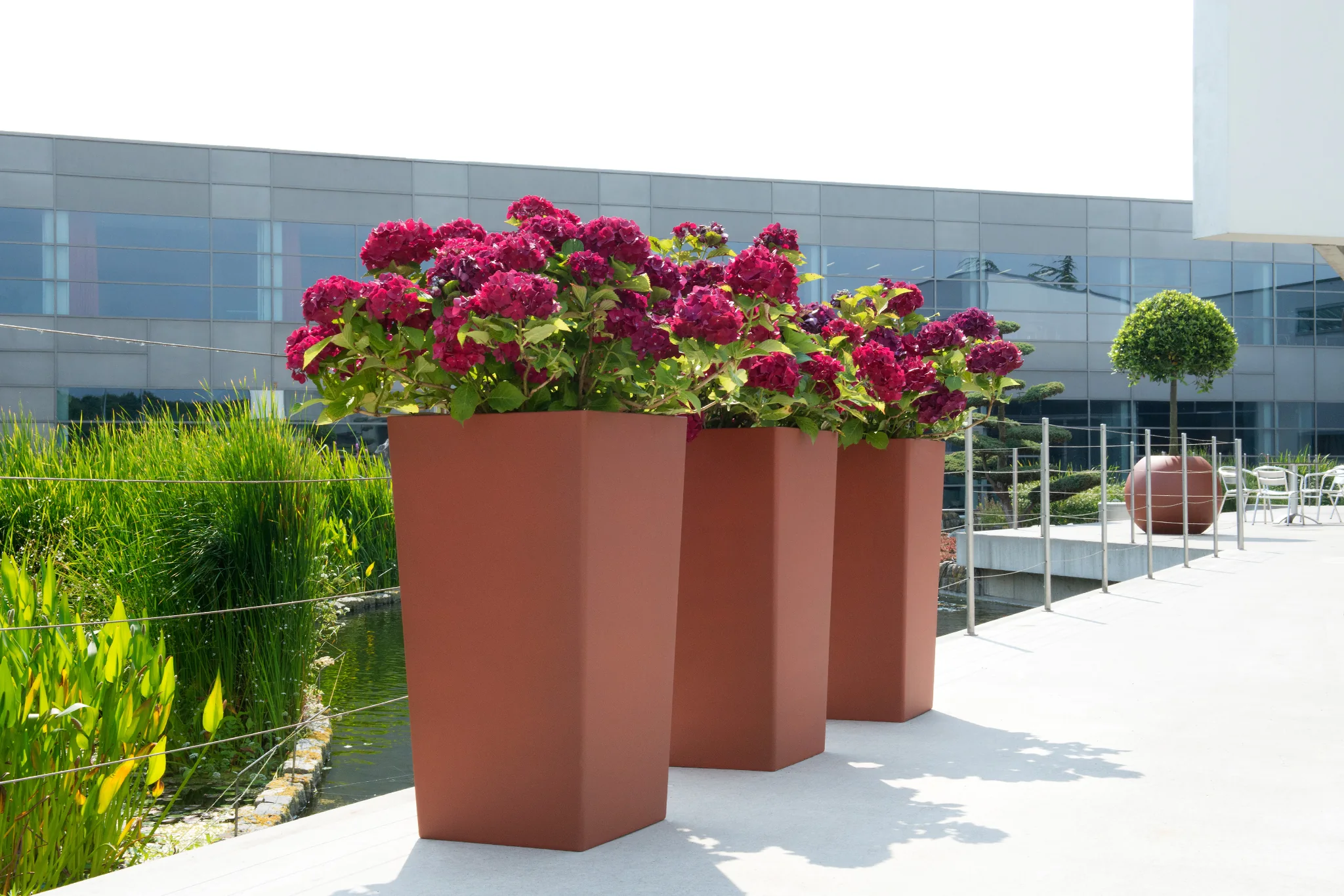 Moderne Pflanzgefäße mit farbigen Blüten in einer Außenanlage